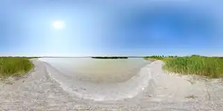 Darscho / Warmsee (Nordufer) bei Apetlon