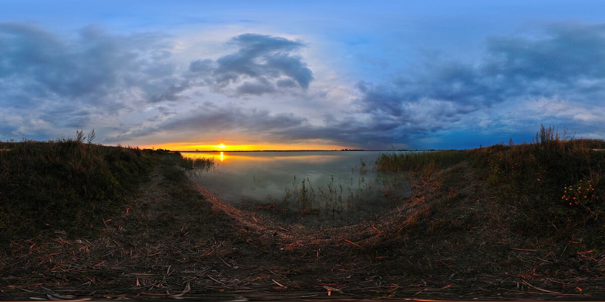 Foto: © Werner Pietschmann Darscho / Warmsee (Nordufer) bei Apetlon