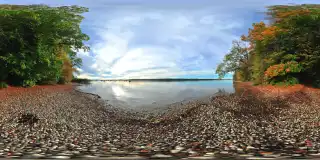 Starnberger See bei Berg