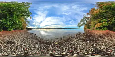 Starnberger See bei Berg