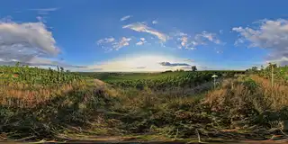 Blick vom Wagram bei Gols