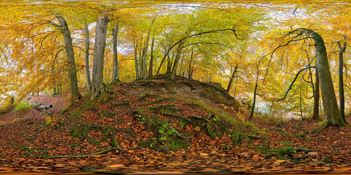Isarauen bei Grünwald (Foto: © Werner Pietschmann) Isarauen bei Grünwald (Foto: © Werner Pietschmann)