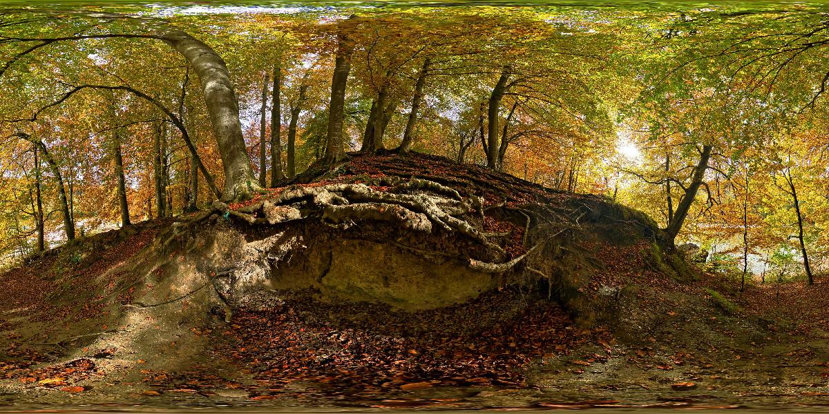 Isarauen bei Grünwald (Foto: © Werner Pietschmann) Isarauen bei Grünwald (Foto: © Werner Pietschmann)
