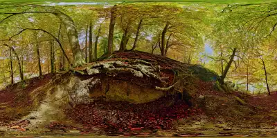 Isarauen bei Grünwald