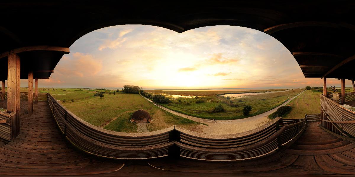 Aussichtsturm in der Hölle bei Illmitz (Foto: © Werner Pietschmann) Aussichtsturm in der Hölle bei Illmitz (Foto: © Werner Pietschmann)