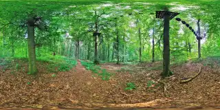 Waldklettergarten in Kloster Banz