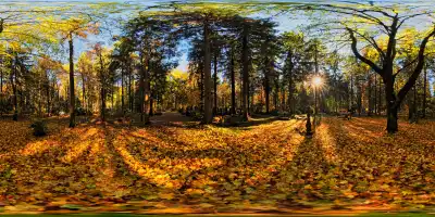 Herbst am Waldfriedhof in München