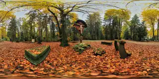 Herbst am Waldfriedhof in München