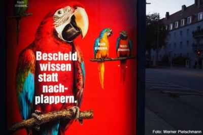 Papageien auf Plakat
