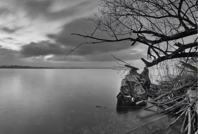 Winter im Ammersee