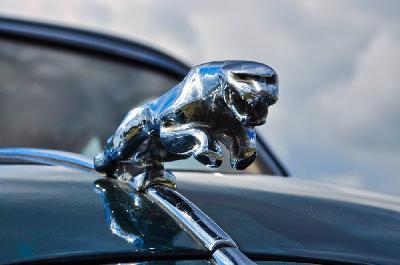 Foto: Werner Pietschmann Jaguar