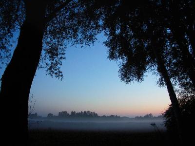 Foto: Werner Pietschmann Abendnebel zur Blauen Stunde