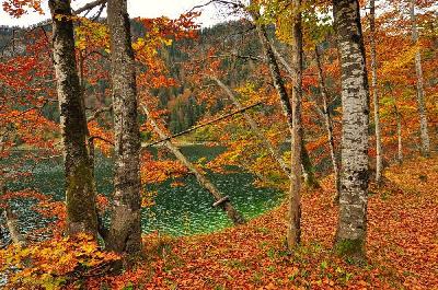 Foto: Werner Pietschmann Herbst am Sylvensteinstausee