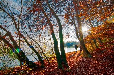 Foto: Werner Pietschmann Herbstspaziergang am Starnberger See