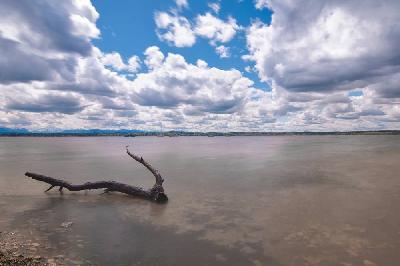 Foto: Werner Pietschmann Starnberger See