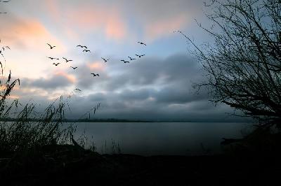 Foto: Werner Pietschmann Ammersee