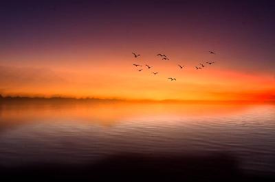 Foto: Werner Pietschmann Starnberger See