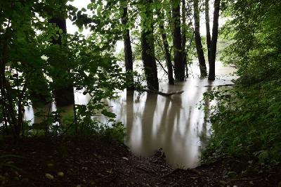 Foto: Werner Pietschmann Isarhochwasser