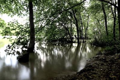 Foto: Werner Pietschmann Isarhochwasser