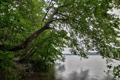 Fotograf während des Sonnenuntergangs am Starnberger See