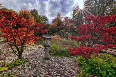 Foto: Werner Pietschmann Japanischer Garten im Westpark München
