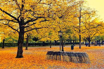Foto: Werner Pietschmann Herbst im Hofgarten