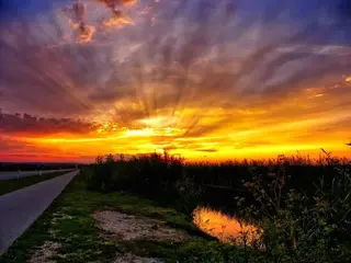 Abendhimmel über dem Schilfgürtel des Neusiedler Sees