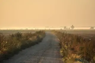 Weg über die Pfarrwiese im Seewinkel