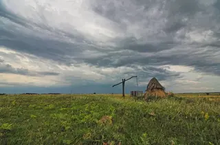 Schilfhütte und Ziehbrunnen sind typisch für den Seewinkel