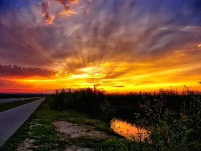 Abendhimmel über dem Schilfgürtel des Neusiedler Sees