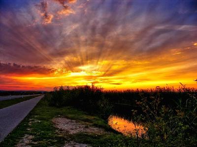 Foto: Werner Pietschmann Abendhimmel über dem Schilfgürtel des Neusiedler Sees