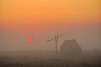 Foto: Werner Pietschmann Pusztastimmung beim Sonnenaufgang im Seewinkel