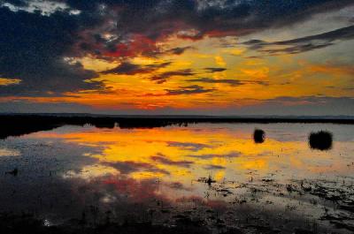 Foto: Werner Pietschmann Abendstimmung am Neusiedler See