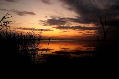 Foto: Werner Pietschmann Düstere Abendstimmung am Darscho im Nationalpark Neusiedler See - Seewinkel