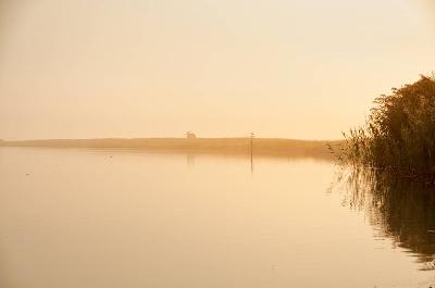 Foto: Werner Pietschmann Die aufgehende Sonne erzeugte im Zusammenspiel mit dem morgendlichen Nebel eine ganz besondere Lichtstimmung.